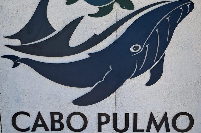 One Way Private Transfer Los Cabos Airport to Cabo Pulmo Park - The Sum Up