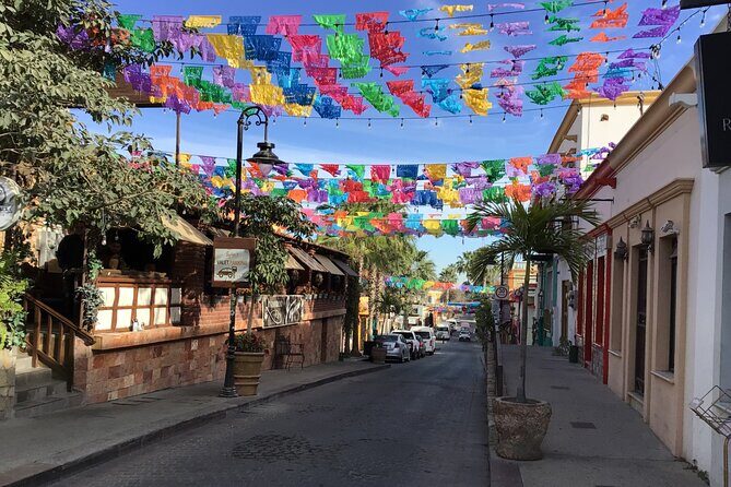 One Way Private Transfer Los Cabos Airport to San Jose Cabo - Authentic Travel Insights from Reviews