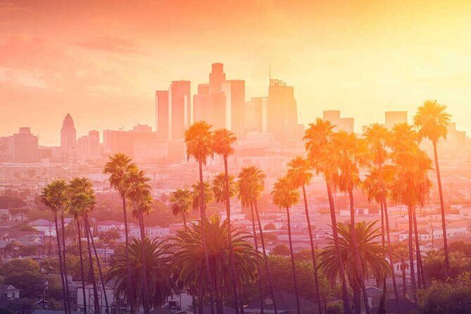 One-Way Private Transfers From/To Los Angeles Airport - Who Should Choose This Service?