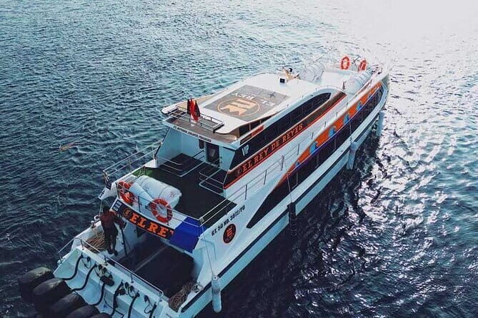One-way Ticket Fast Boat from Sanur Bali or Nusa Penida - Who Should Book This Fast Boat?