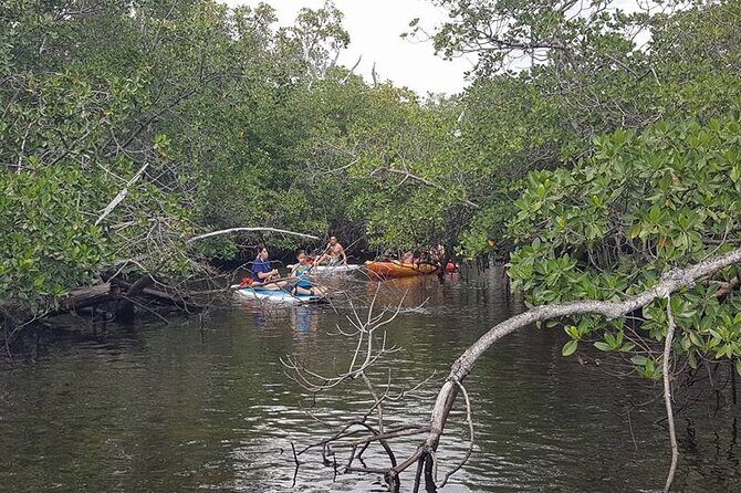 One Way Ticket To Paradise Ft. Lauderdale Exploration Paddle Tour - Key Points