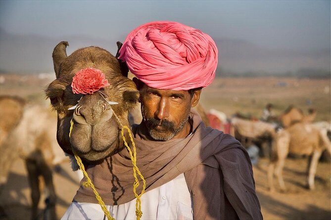 One Way Transfer From Jaipur To Pushkar in AC Vehicle - Key Points