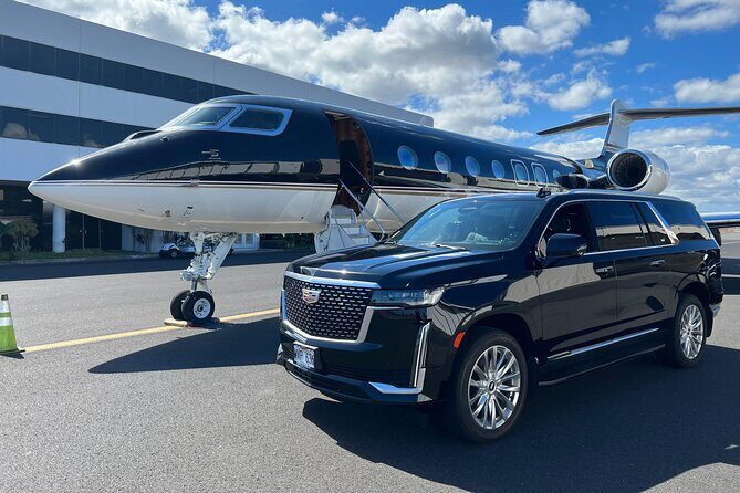 One-Way VIP Transfer: Honolulu Airport, Ko Olina, Cruise Port - Final Thoughts