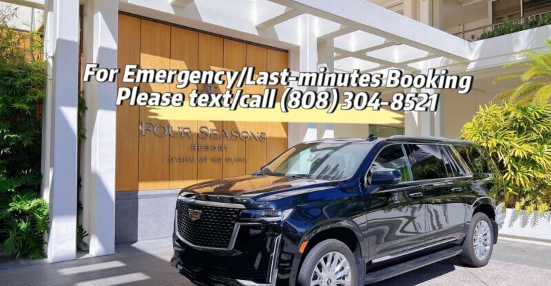 One-Way VIP Transfer: Honolulu Airport, Ko Olina, Port 2/11 - Key Points
