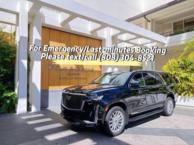 One-Way VIP Transfer: Honolulu Airport, Ko Olina, Port 2/11 - An In-Depth Look at the VIP Transfer Experience