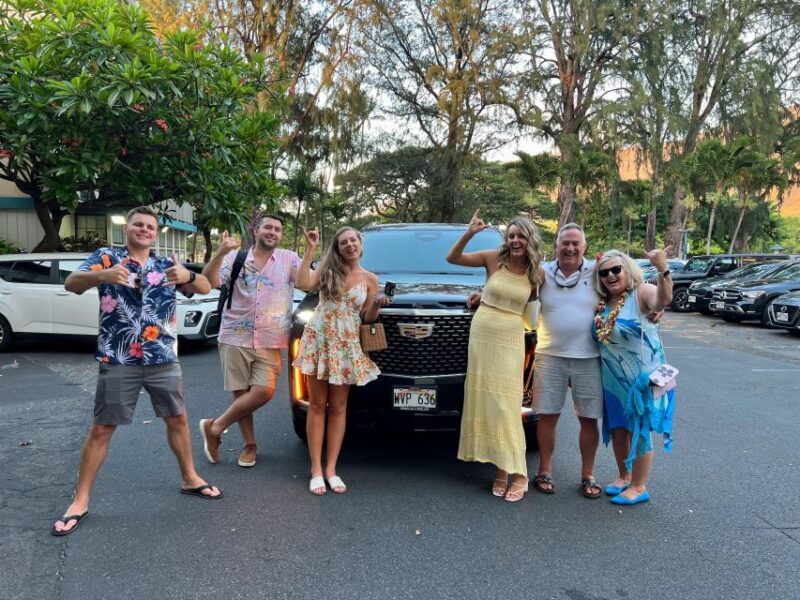 One-Way VIP Transfer: Honolulu Airport, Waikiki, Cruise Port - Key Points