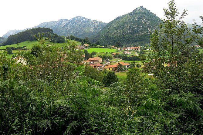 One Week Spanish Course At Your Tutor's Home In The North Of Spain - The Setting: A Charming Old House in Puente Viesgo