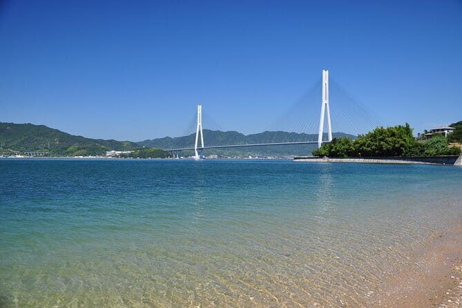 Onomichi and Ikuchijima Island Tour Temples Ropeway and Ferry - Who Should Book This Tour?