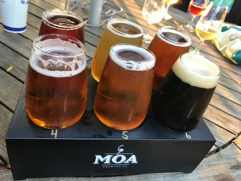 Onshore Highlights of Marlborough's Wine Region from Picton - What to Expect During the Tour