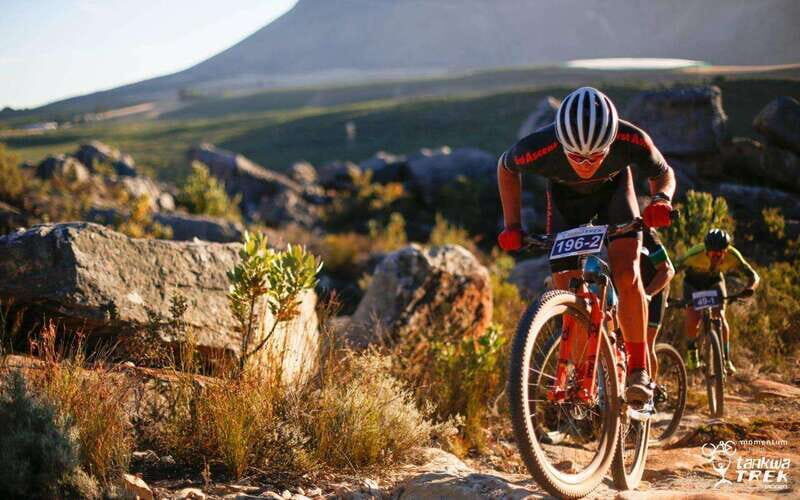 Ontario: Scenic Guided Bike Tour with Gear Included - Who Will Love This Tour?