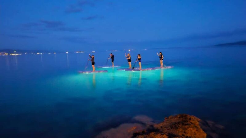 Opatija: Guided SUP Paddleboarding Adventure at Night - The Experience Provider: Opatija Adventure