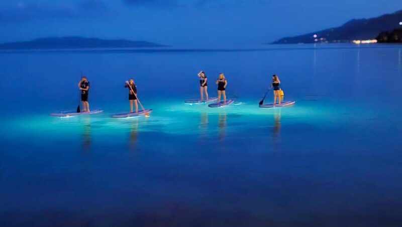 Opatija: Guided SUP Paddleboarding Adventure at Night - The Sum Up