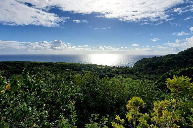 Open-Air! Road to Hana Jungle Adventure Tour! (5.5 Hours) - Final Thoughts