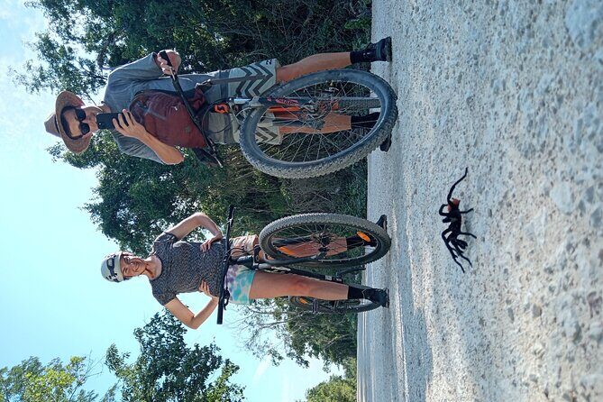 Open Cenote Bike and Swim Tour in the Jungle - Key Points