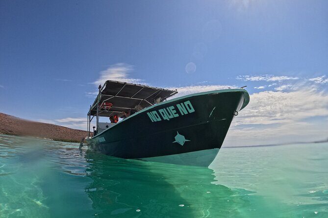 Open Ocean Safari: looking for orcas, dolphins & more - The Sum Up