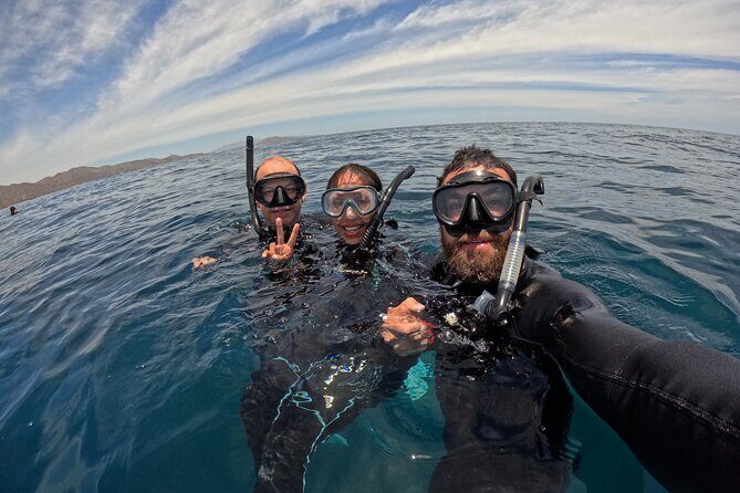 Open Ocean Safari: looking for orcas, dolphins & more - FAQ