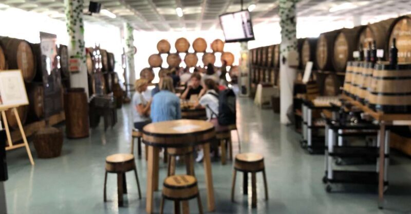 Open Roof Jeep Tour with Madeira Wine Tasting - Final Thoughts: Who Will Love This Tour?