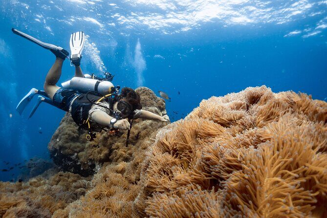 Open Water Course - Become certified diver in 3 days - An In-Depth Look at the Open Water Course on Koh Tao
