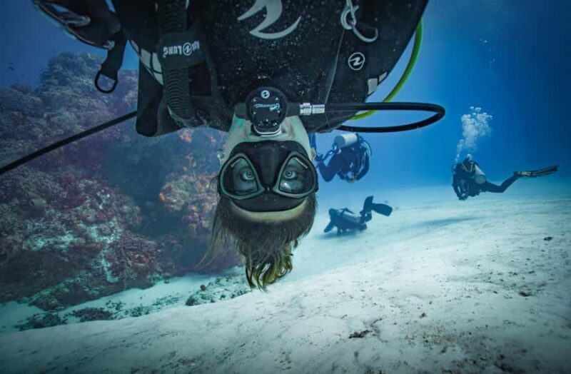 Open Water Course  Dive Machine Experience - Real Experiences and Feedback