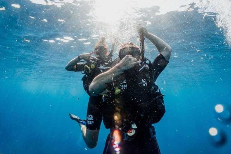 Open Water Course  Dive Machine Experience - The Sum Up: Who Will Love This Course?