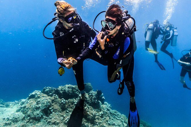 Open Water Course in Nusa Lembongan - Get Certified on remote island (next Bali) - FAQ