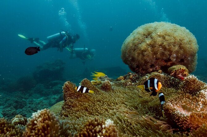 Open Water Diver Course - Who Is This Course Best For?