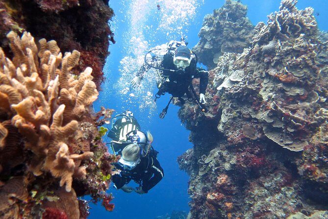 Open Water Diver course PADI in Cancun - FAQ