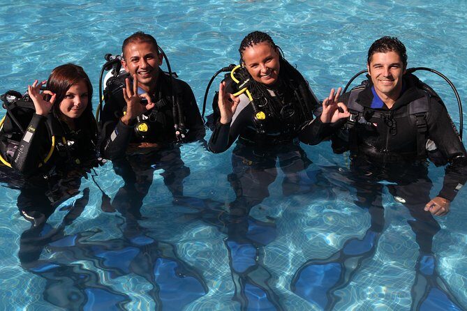 Open Water Diver Scuba Diving Course in Puerto de Mogan - An Introduction to the Experience