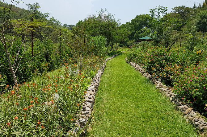 Openwork butterfly garden - FAQ