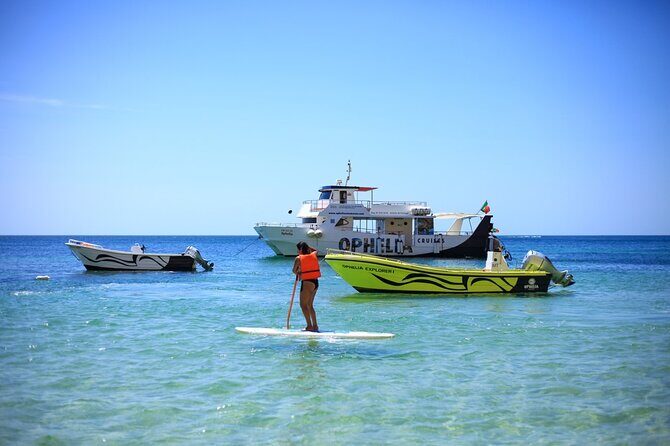 Ophelia Catamaran Cruises + Beach BBQ - An In-depth Look at the Experience