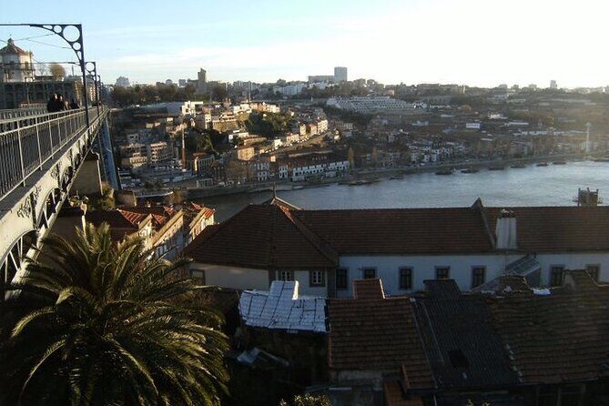 Oporto Private 4-hours Tour with Hotel Pickup - Authentic Insights from Travelers