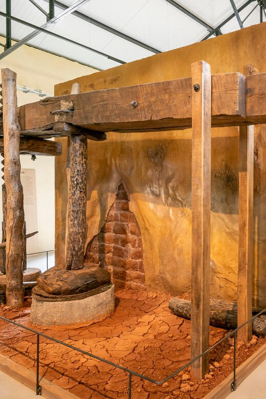 Oppède: Olive Oil Museum Visit - Is This Tour Worth It? Who Will It Suit?