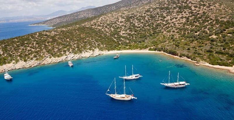 Orak island Boat Trip Bodrum - Snorkeling and Swimming Tips