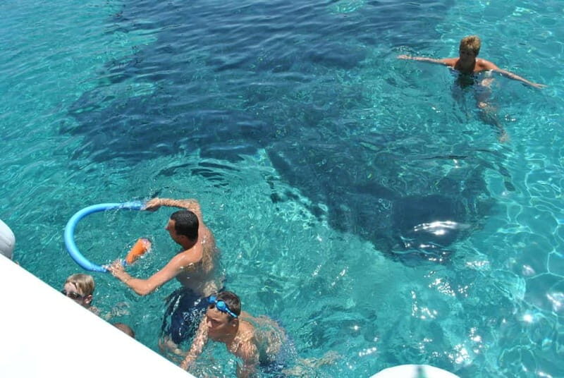 Orak island Boat Trip Bodrum - Who Will Love This Tour?