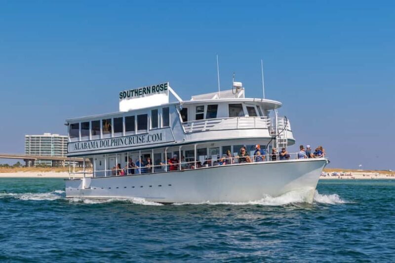 Orange Beach: Dolphin Cruise - An In-Depth Look at the Orange Beach Dolphin Cruise
