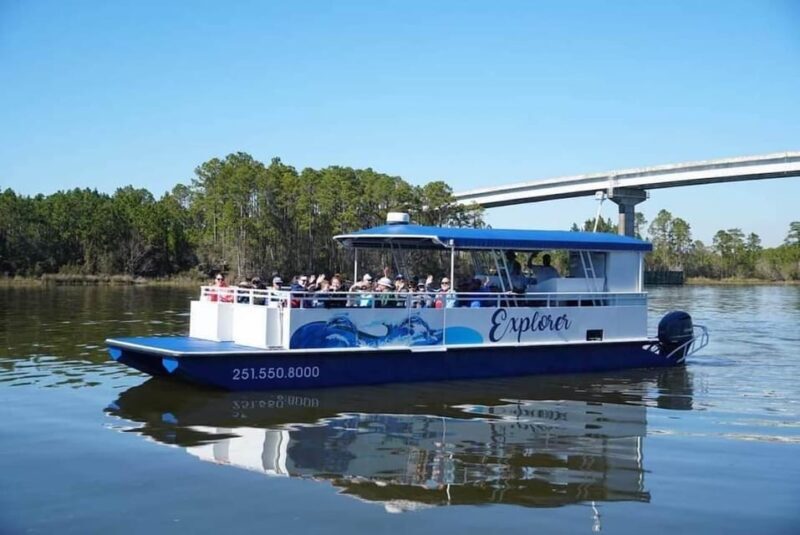 Orange Beach: Dolphin Eco Sunset Cruise aboard The Explorer - Why the Value Is Right for the Price