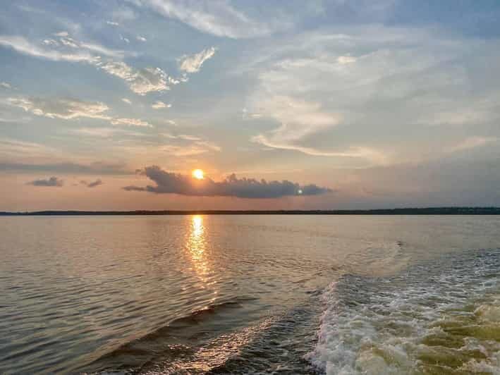 Orange Beach: Dolphin Eco Sunset Cruise aboard The Explorer - Key Points