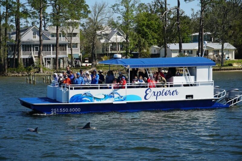 Orange Beach: Dolphin Eco Sunset Cruise aboard The Explorer - FAQ: Your Questions Answered