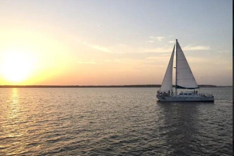 Orange Beach: Dolphin & Sailing Cruise Aboard 52' Catamaran - An Authentic Sailing Experience in Orange Beach