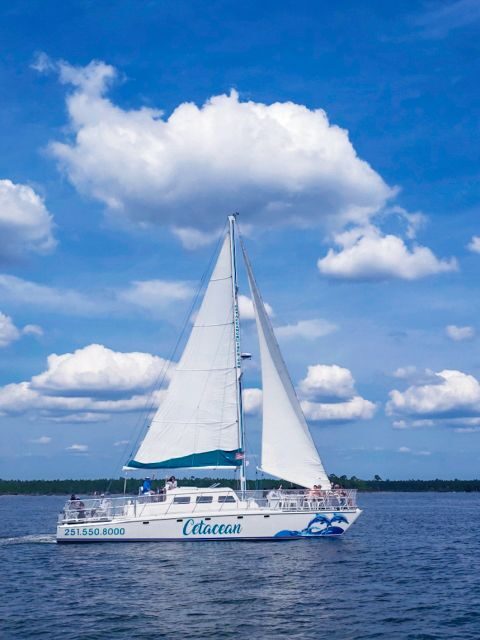 Orange Beach: Dolphin & Sailing Cruise Aboard 52' Catamaran - The Experience: Comfort, Comfort, Comfort
