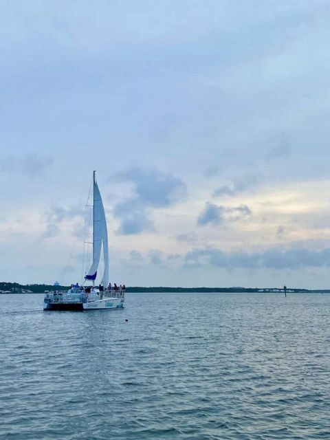 Orange Beach: Dolphin & Sailing Cruise Aboard 52' Catamaran - Orange Beach: Dolphin & Sailing Cruise Aboard 52 Catamaran — An Authentic Coastal Adventure