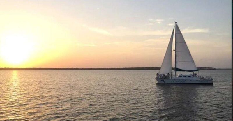 Orange Beach: Sunset Sailing Cruise Aboard The Cetacean - Key Points