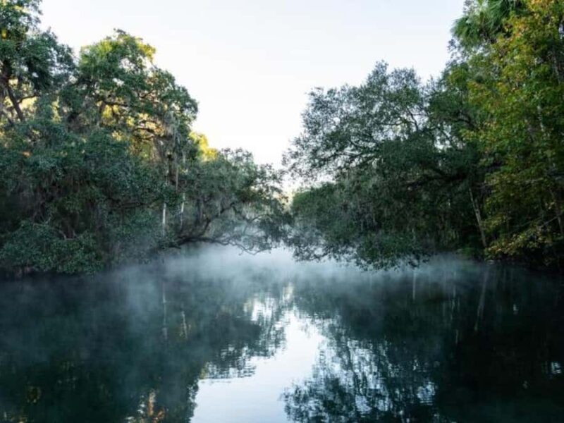 Orange City: Blue Spring State Park Guided Kayak Tour - Key Points