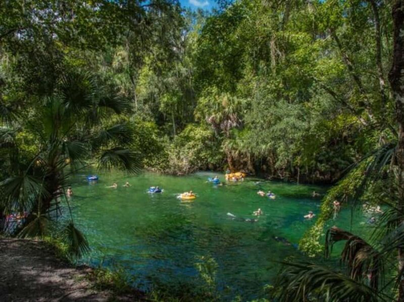 Orange City: Blue Spring State Park Guided Kayak Tour - The Sum Up