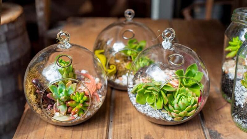 Orange County: Flower Decorating Classes - Key Points