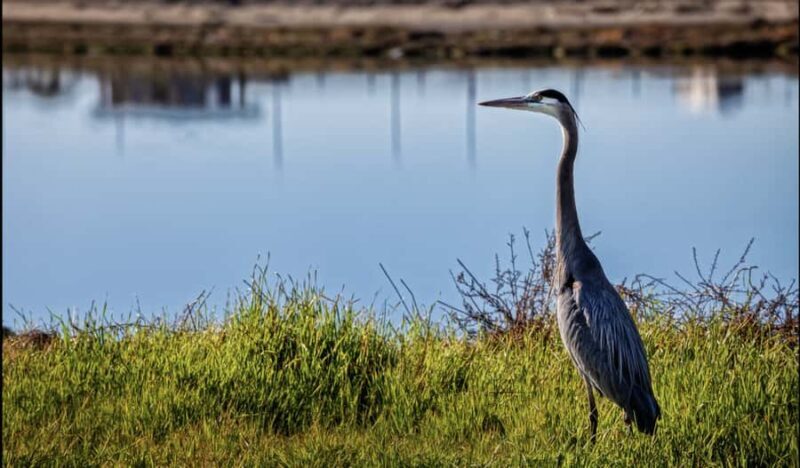 Orange County: Hike and Bike Day Tour - Who Will Love This Tour?