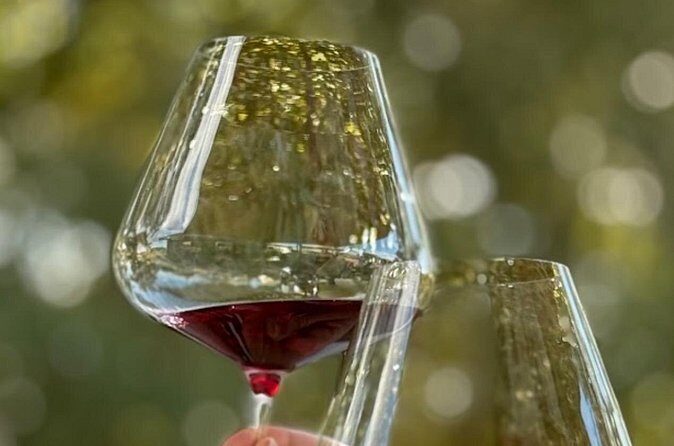 Orange Region Winery Experience by Onayi - Detailed Breakdown of the Itinerary