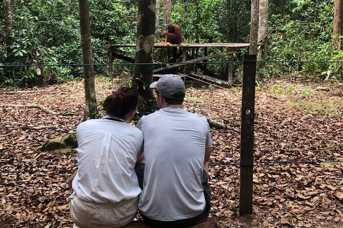 Orangutan Tanjung Puting Honeymoon CoupleTour - A Deep Dive into the Tanjung Puting Experience