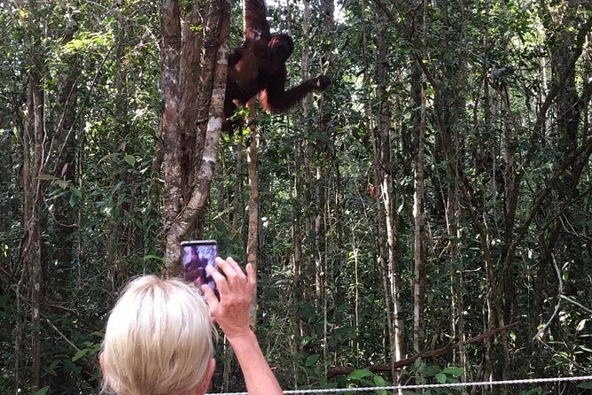 Orangutan Tanjung Puting Wildlife Trail & Arut River 5 Days - A Detailed Look at the 5-Day Itinerary