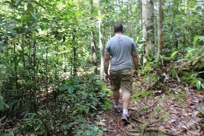 Orangutan Tanjung Puting Wildlife Trail & Arut River 5 Days - The Sum Up